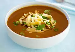 Savory Tortilla Soup