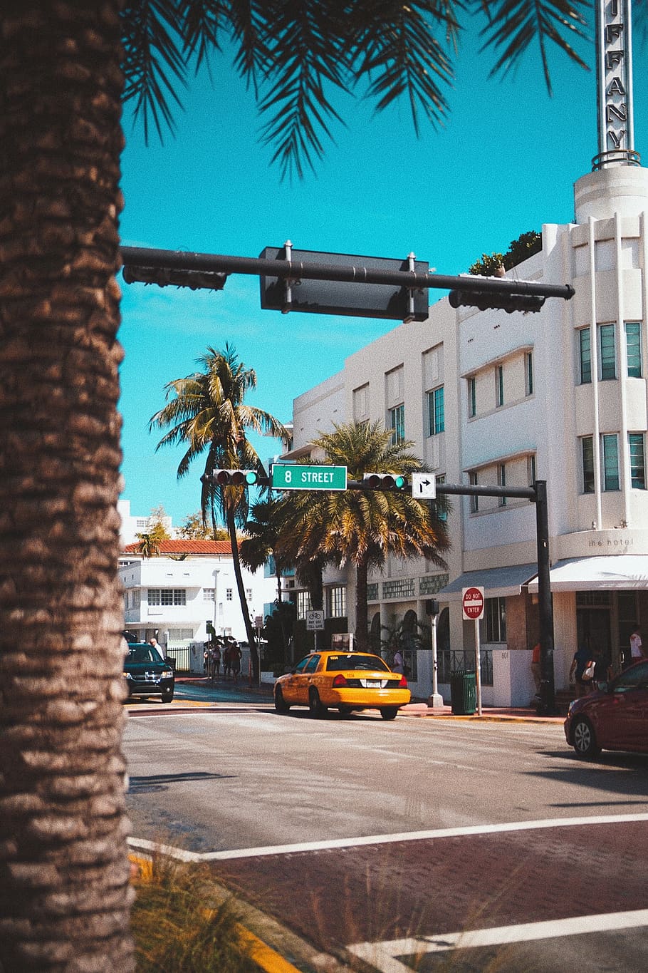 united states, miami beach, south beach, palm tree, sreet, portrait, HD wallpaper