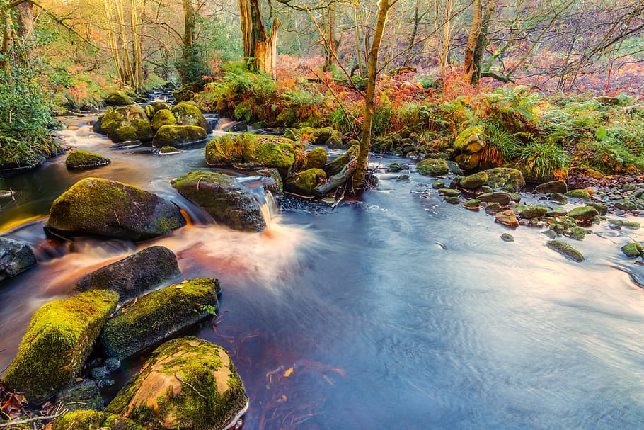 time lapse photography of stream, valley of desolation, yorkshire, HD wallpaper