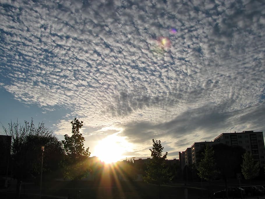 Cirrocumulus, Cirrus, Clouds, Sunset, sundown, sky, silhouette, HD wallpaper