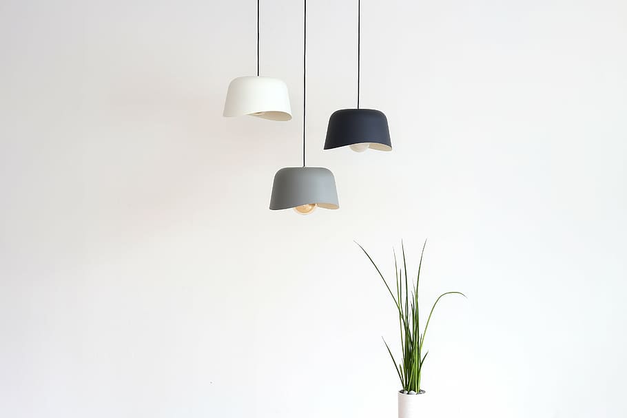 three white, black, and gray pendant ceiling lamps near green leaf plant, HD wallpaper