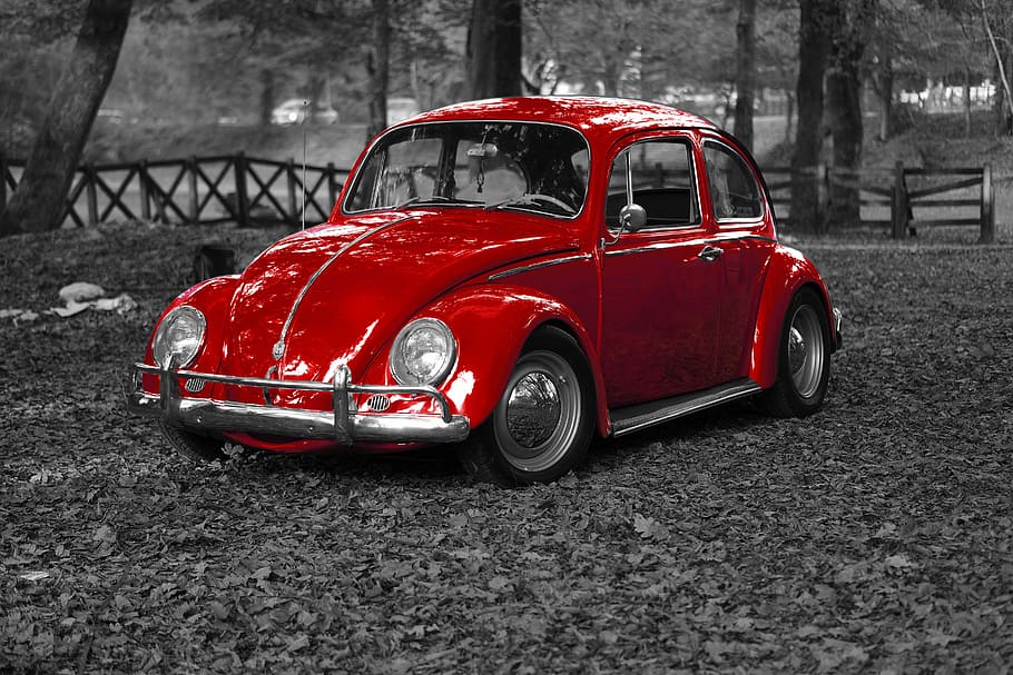 red Volkswagen beetle, vw, bug, vintage, vehicle, old, retro, HD wallpaper