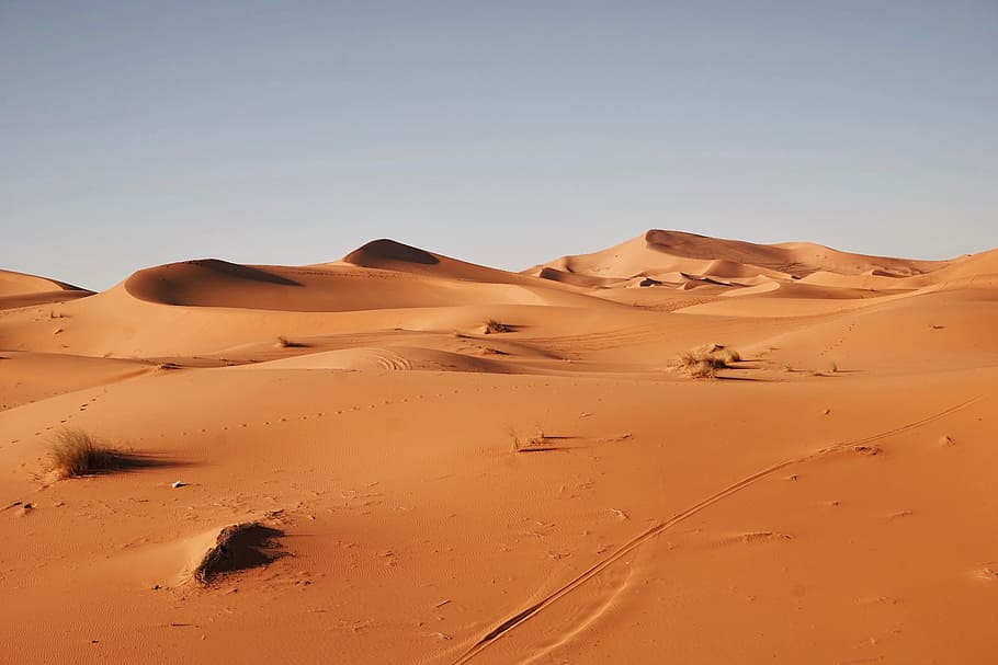 landscape photography of desert, dessert island, dried, plants, HD wallpaper