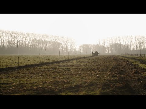 Hoe kan je je ecologische voetafdruk verkleinen?