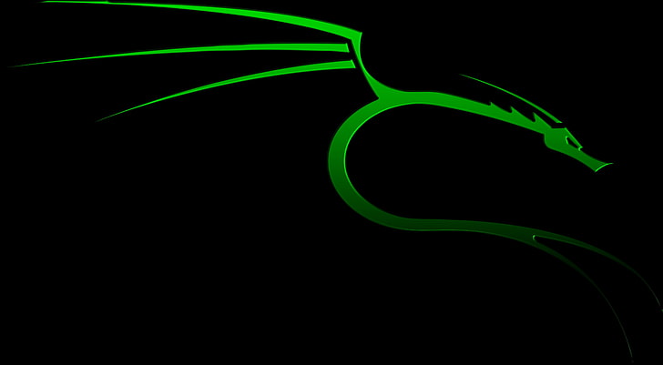 green dragon logo, Kali Linux, Kali Linux NetHunter HD wallpaper