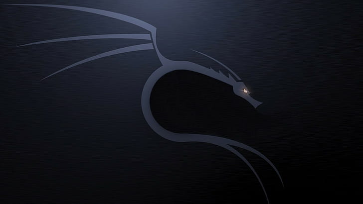 Kali Linux NetHunter HD wallpaper