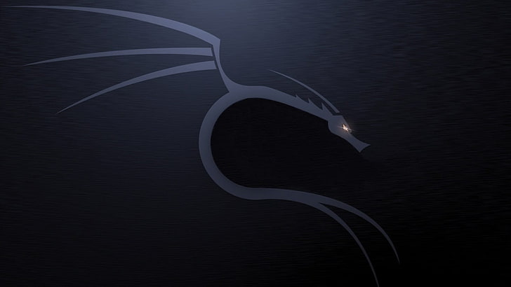 gray and black dragon wallpaper, Linux, Kali Linux NetHunter HD wallpaper