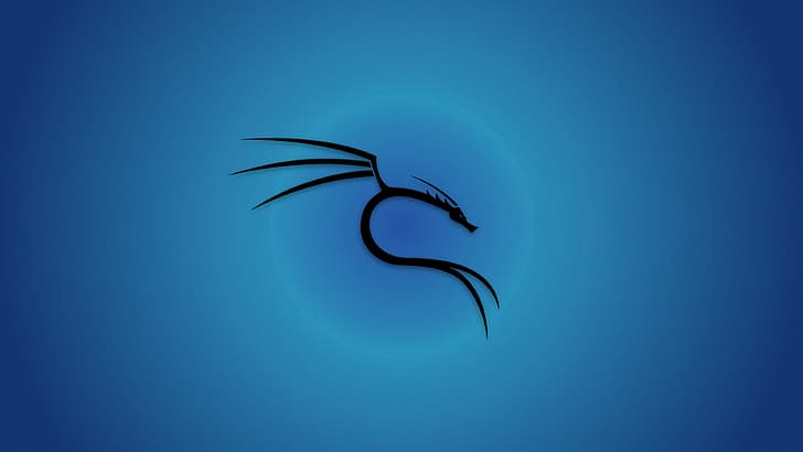 Kali Linux, Backtrack Linux, blue background HD wallpaper