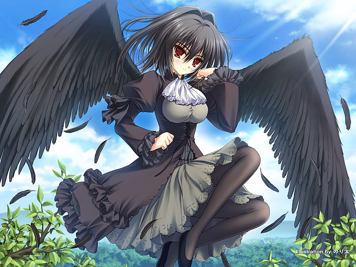 female anime character with black wings and hair, norita, girl