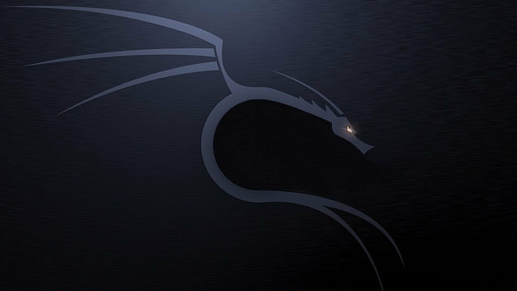 Kali Linux, Kali Linux NetHunter HD wallpaper