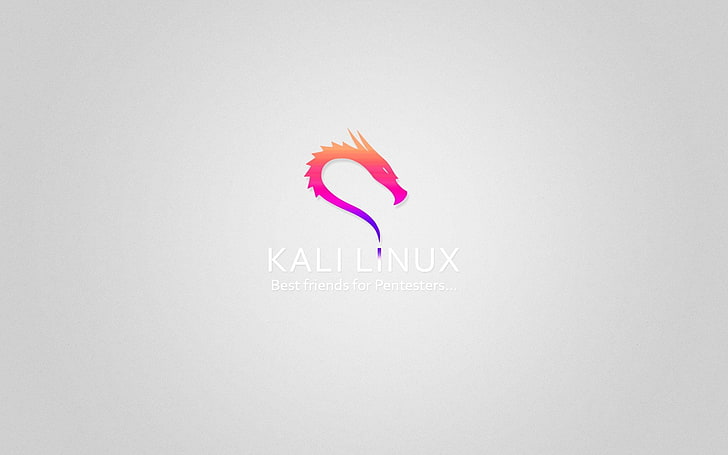 CG, computer, hackers, hacking, Kali Linux, logo, Penetration testing HD wallpaper