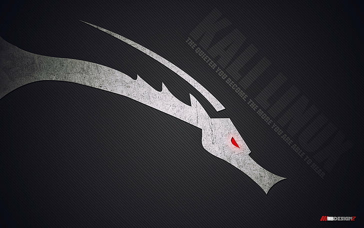 linux gnu kali linux kali linux nethunter, pattern, one person HD wallpaper