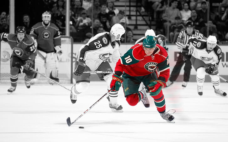 Minnesota Wild Player, hockey, club, game, ice, HD wallpaper