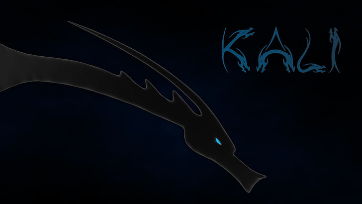 black dragon illustration, Linux, Kali Linux, Kali Linux NetHunter HD wallpaper