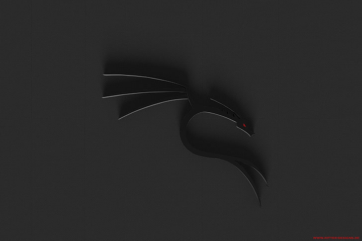 gray dragon wall decor, Linux, Kali Linux NetHunter, Fuzion Extreme HD wallpaper