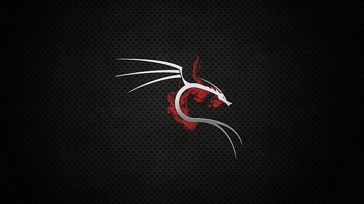 Technology, Kali Linux HD wallpaper