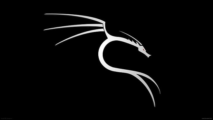 hacking, Kali Linux, black background HD wallpaper