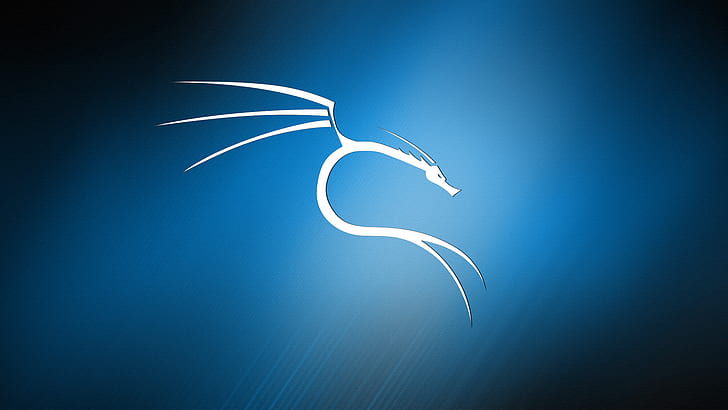 Kali Linux, texture, dragon, abstract, blue background HD wallpaper