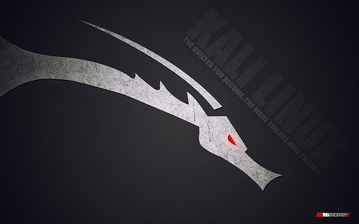 black and white dragon wallpaper, Linux, GNU, Kali Linux, Kali Linux NetHunter HD wallpaper