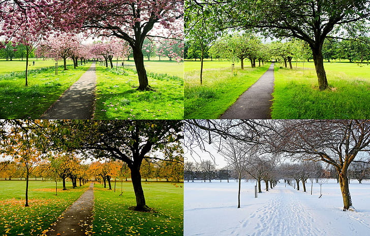 Four Seasons Nature