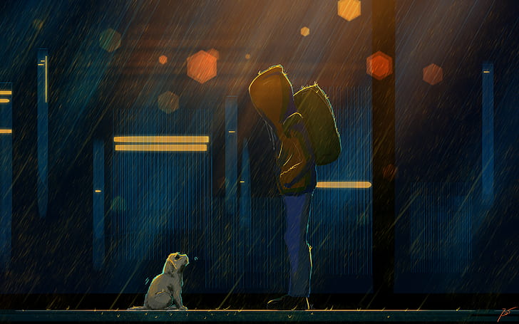 Artistic, Boy, Dog, Rain, Sad, HD wallpaper