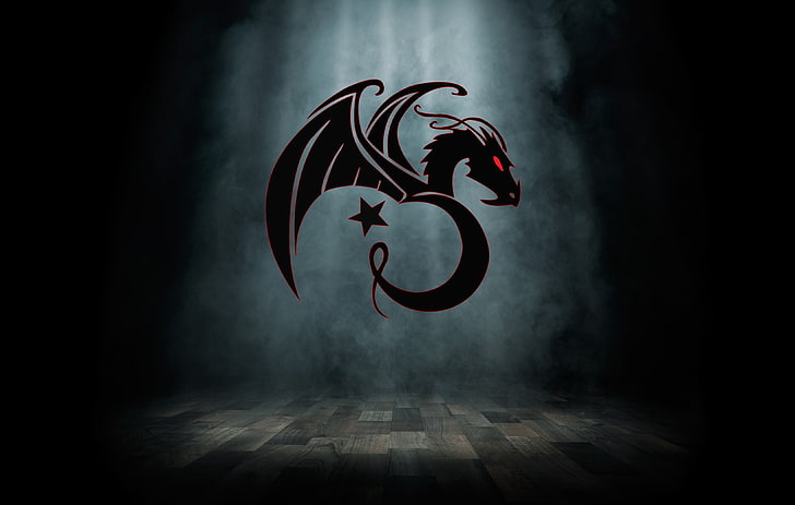 black dragon wallpaper, Kali, Linux, EjderTim, hacking, backtrack HD wallpaper