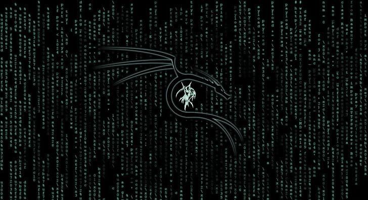 Technology, Kali Linux HD wallpaper