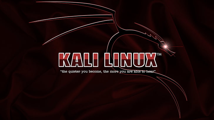 Kali Linux, text, red, studio shot, communication, western script HD wallpaper