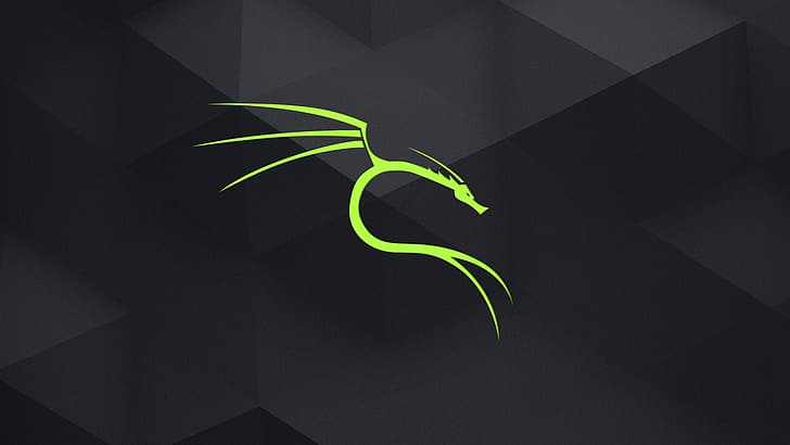 Kali, Linux, dark HD wallpaper