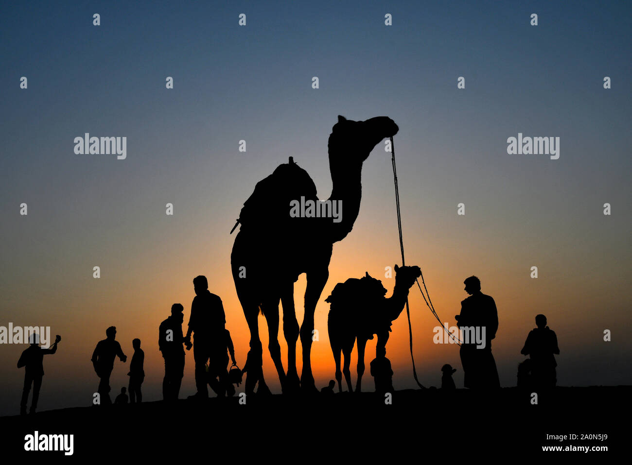 Camel rides in silhouette, SAM dunes at Jaisalmer in Rajasthan, India Stock Photo