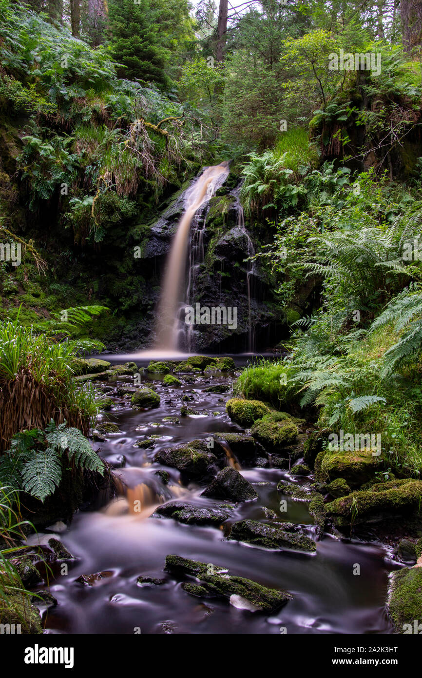 Hindhope Linn Waterfall, Northumberland, UK Stock Photo