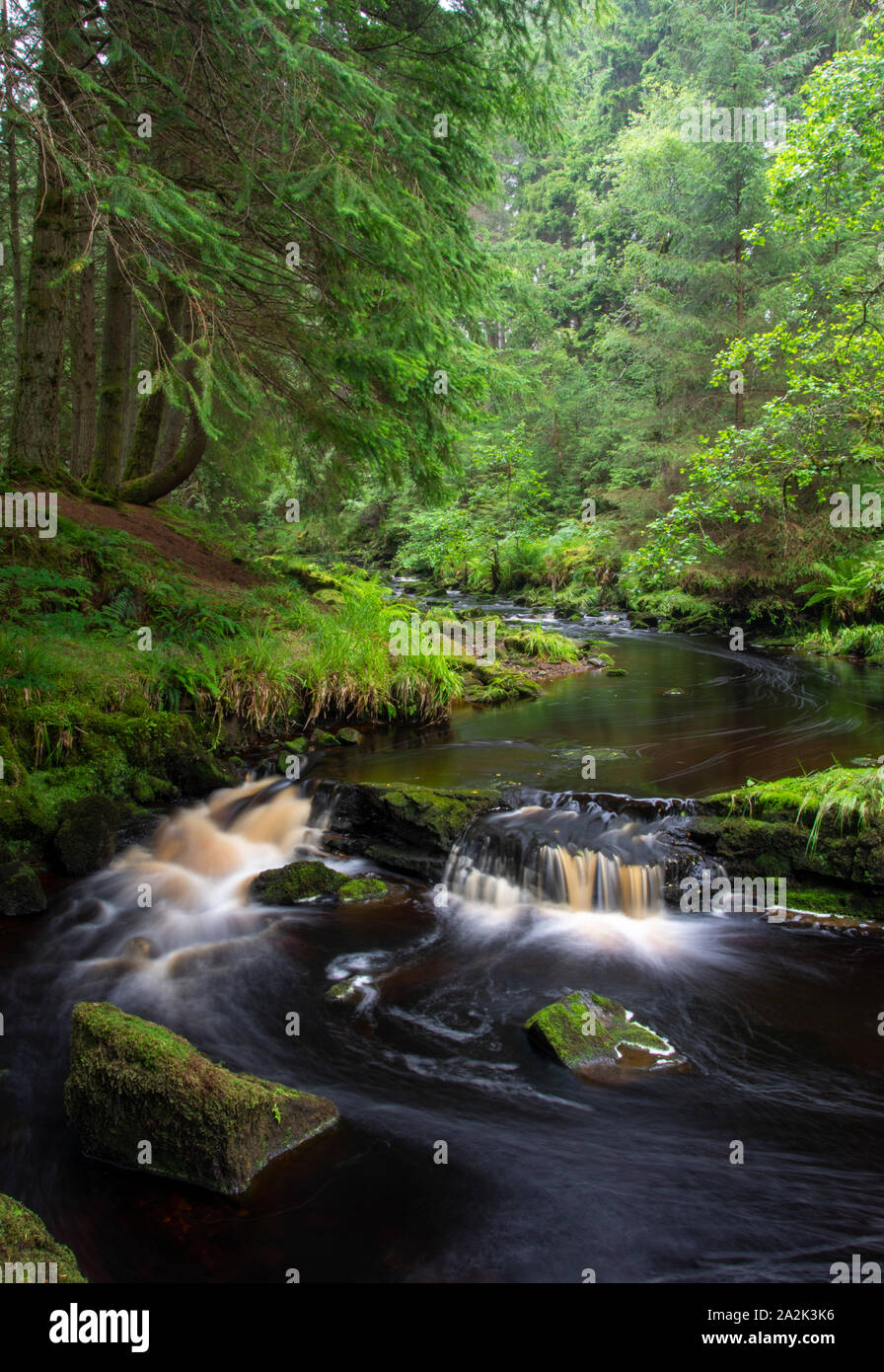 Hindhope Linn Waterfall, Northumberland, UK Stock Photo