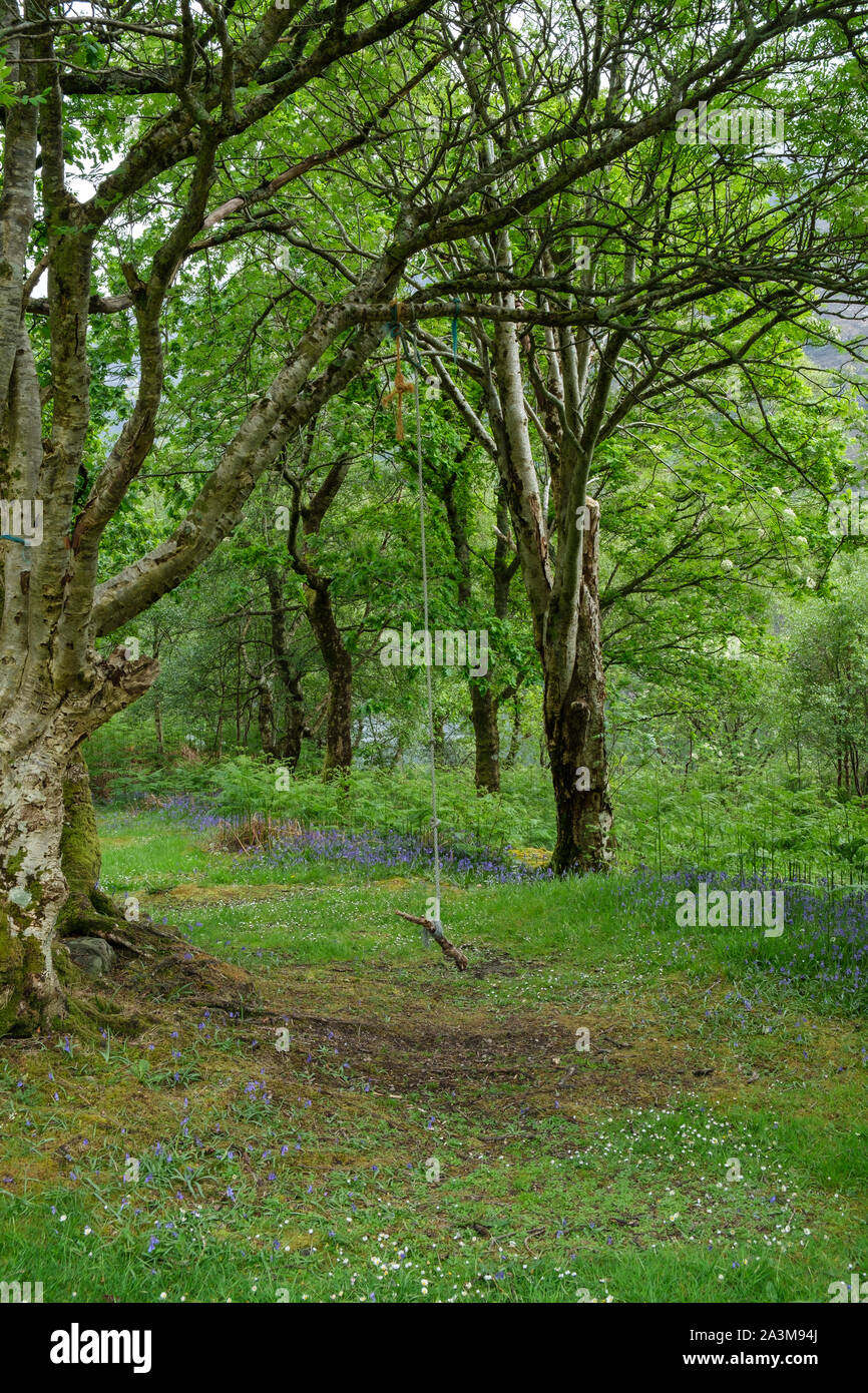 Rope swing Stock Photo