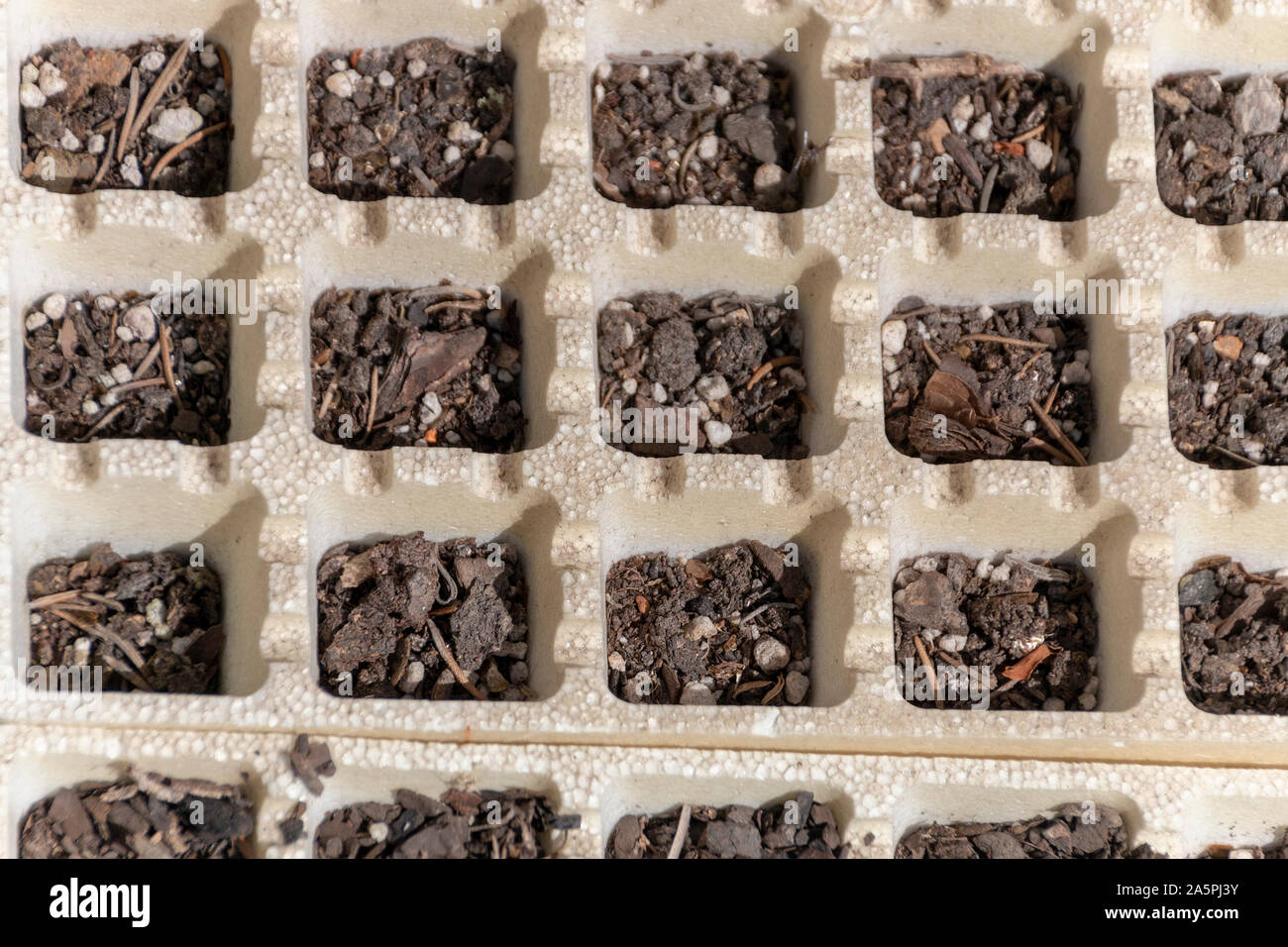 A close up view of seedling trays where the soul has dried out and the flowers and died Stock Photo