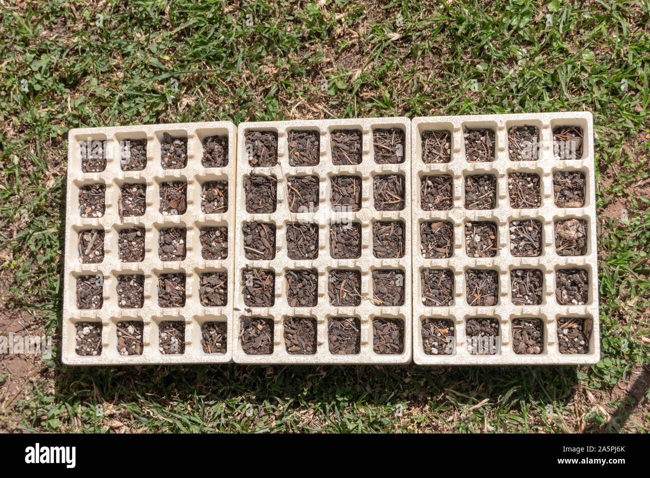 A close up view of seedling trays where the soul has dried out and the flowers and died Stock Photo