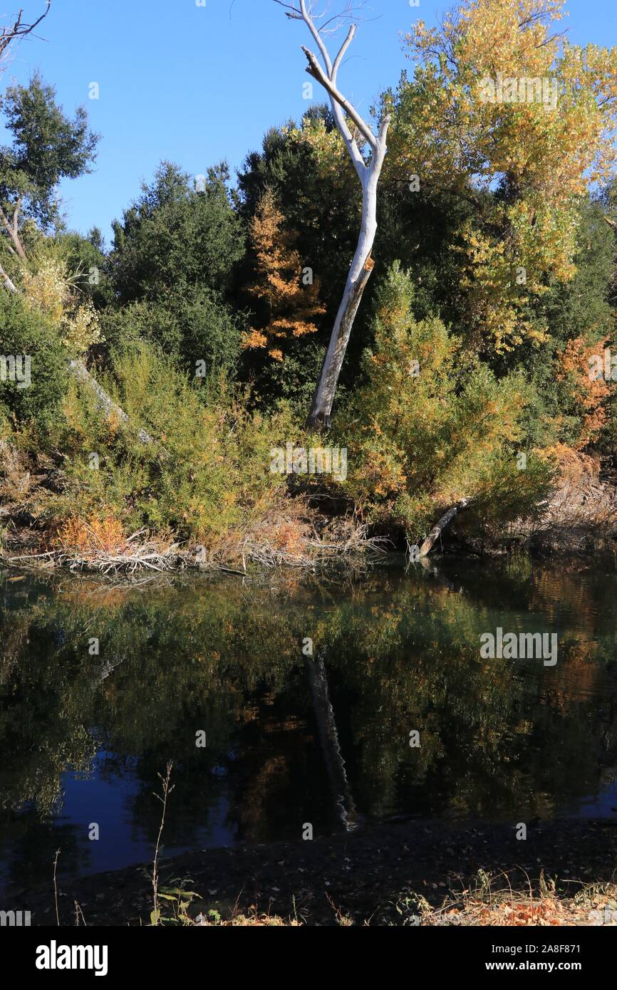 Fall around the lake Stock Photo