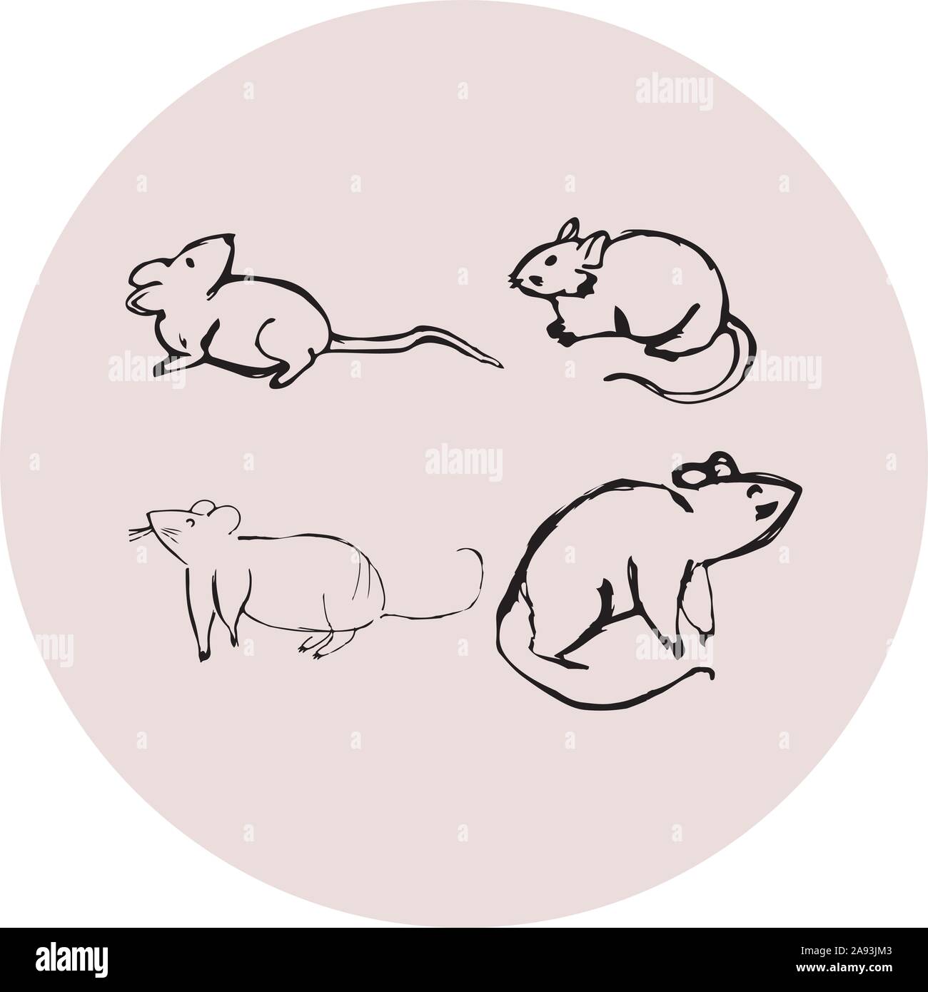 Hand sketch illustration of rats hand drawn mouses Stock Vector