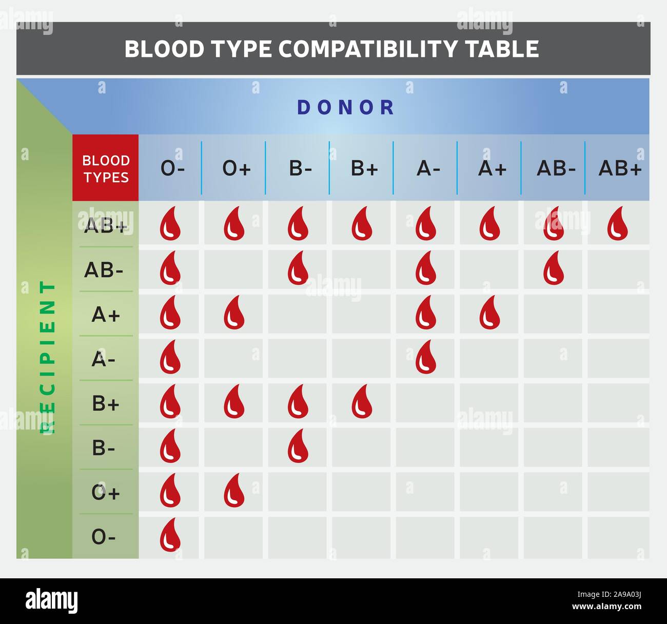 Blood Type Compatibility Table / Chart with Donor and Recipient Groups ...