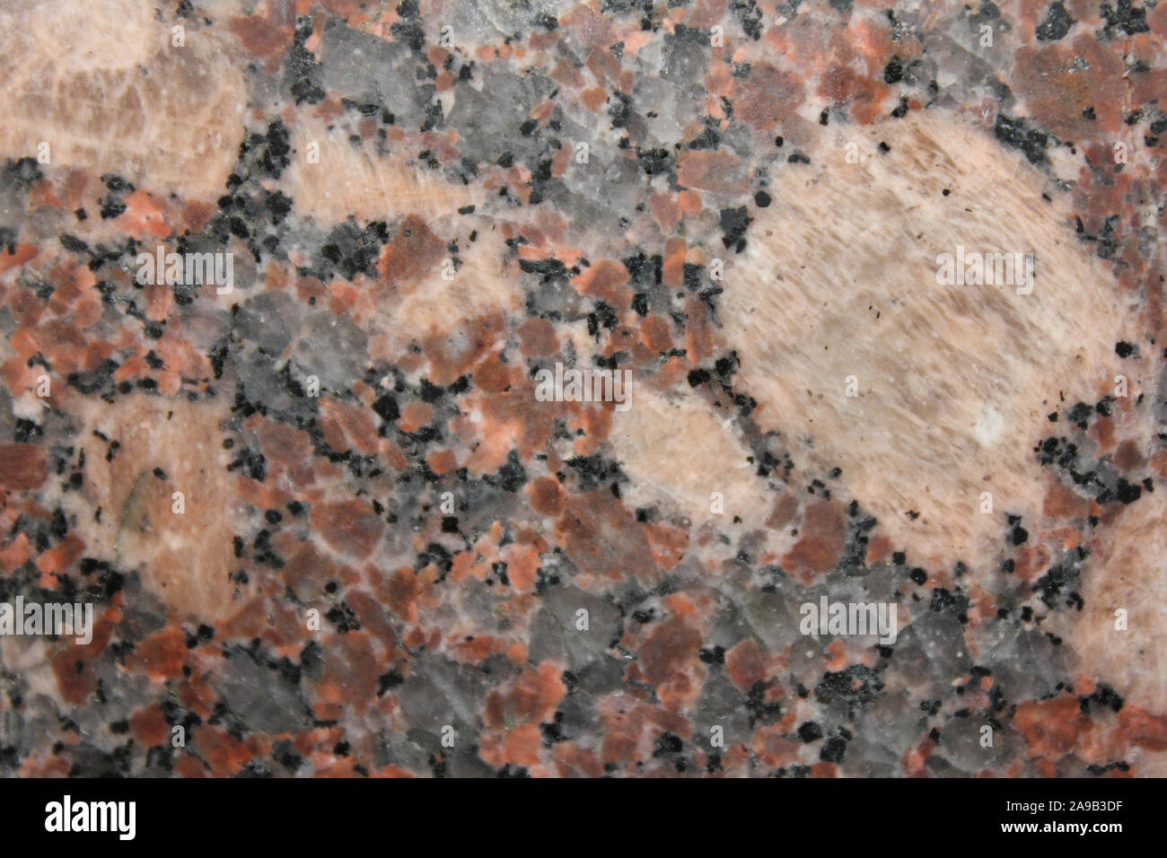 Granite Crystals Macro showing large Potassium Feldspar phenocrysts along with biotite Stock Photo