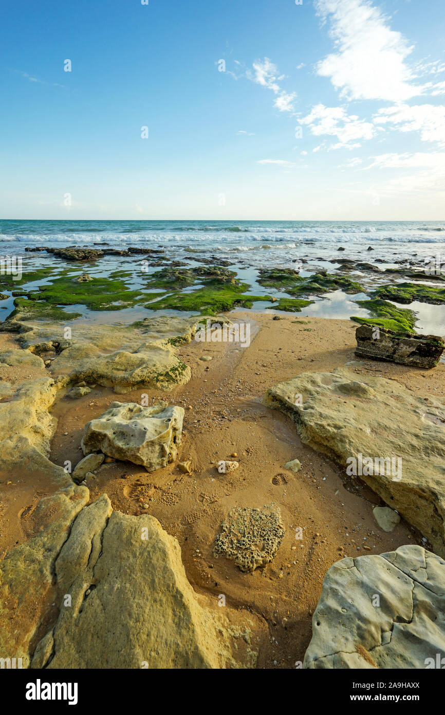 Europa, Portugal, Algarve, steinige Kueste an der Algarve bei Ebbe Stock Photo