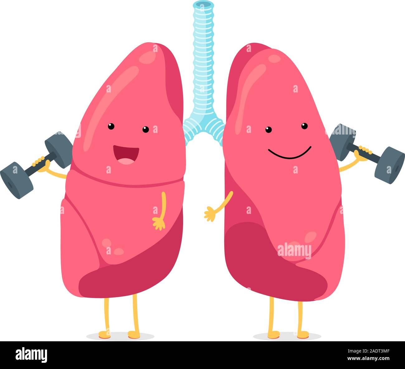 Heart And Lungs Cartoon