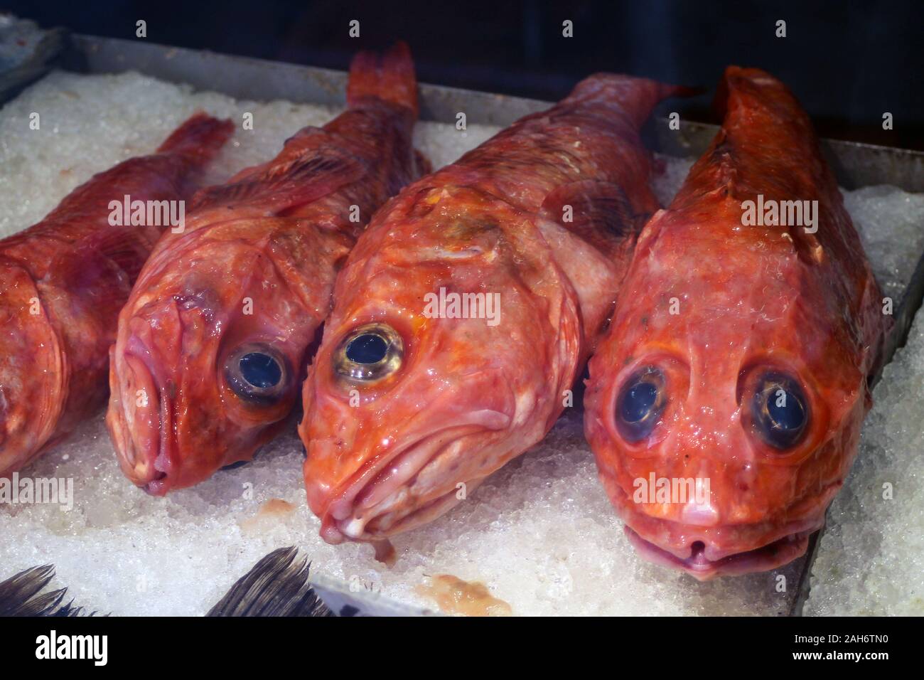 Red fish for sale in San Francisco Chinatown, United States of America Stock Photo