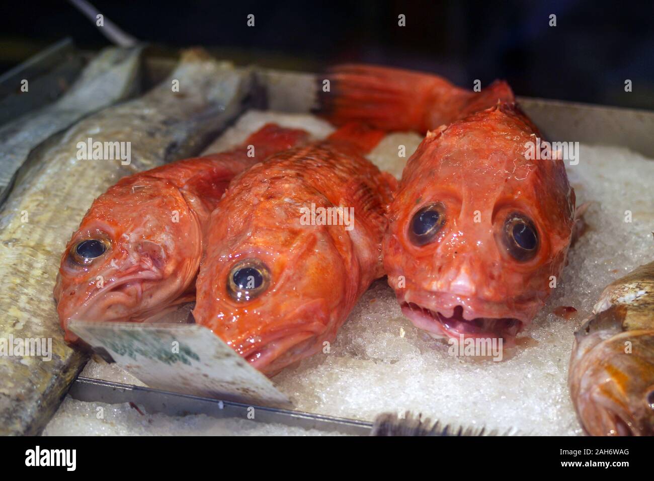 Red fish on ice for sale in Chinatown of San Francisco, United States of America Stock Photo