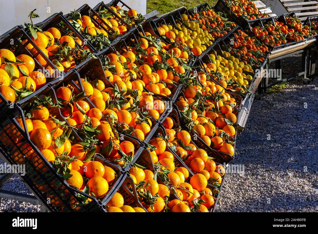 Spanish oranges for sale at a roadside stall in France Stock Photo