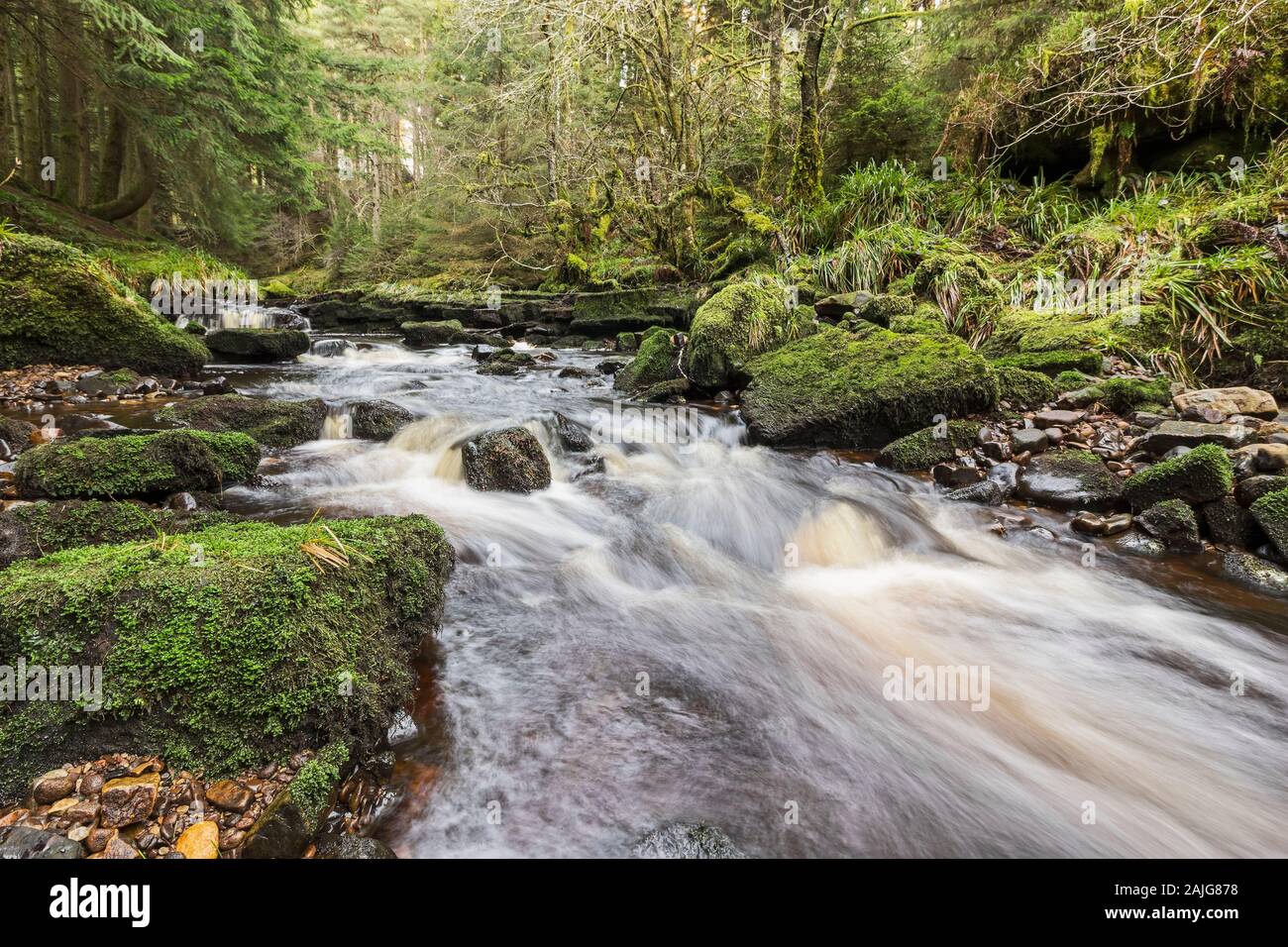 Northumberland waterfall at Blakehope Burn, Blakehopeburnhaugh on the edge of Kielder Forest, UK Stock Photo