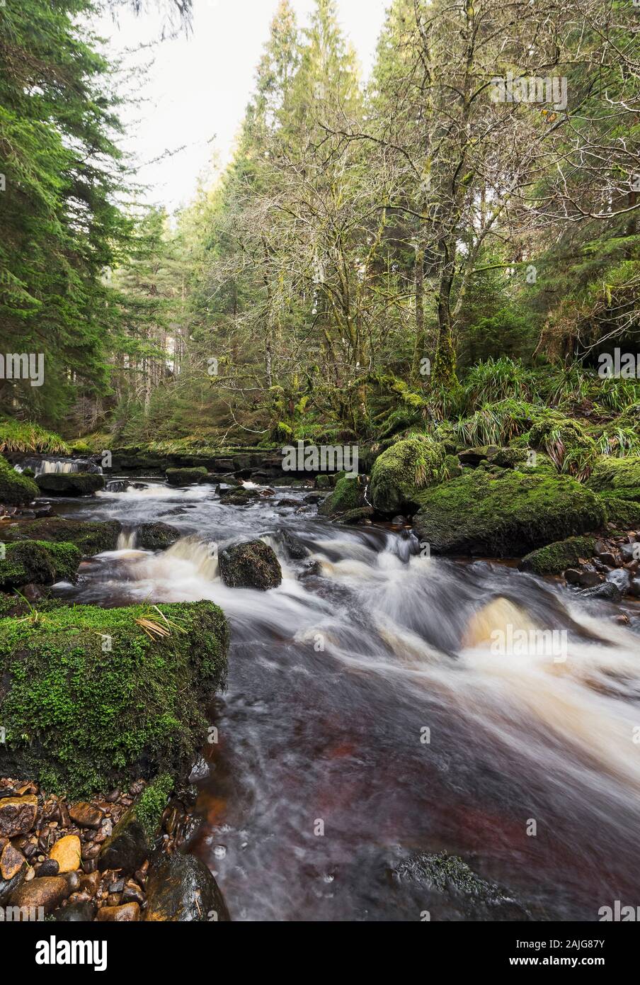 Northumberland waterfall at Blakehope Burn, Blakehopeburnhaugh on the edge of Kielder Forest, UK Stock Photo