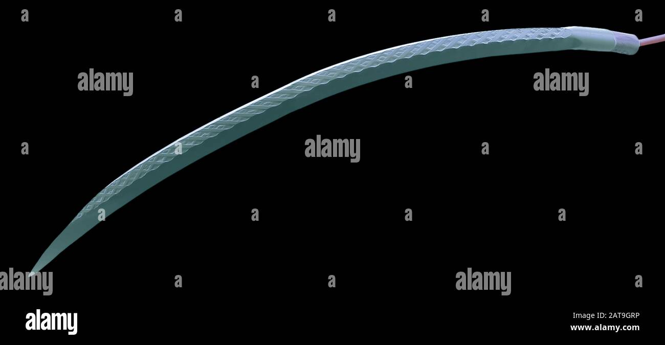 Surgical needle, SEM Stock Photo