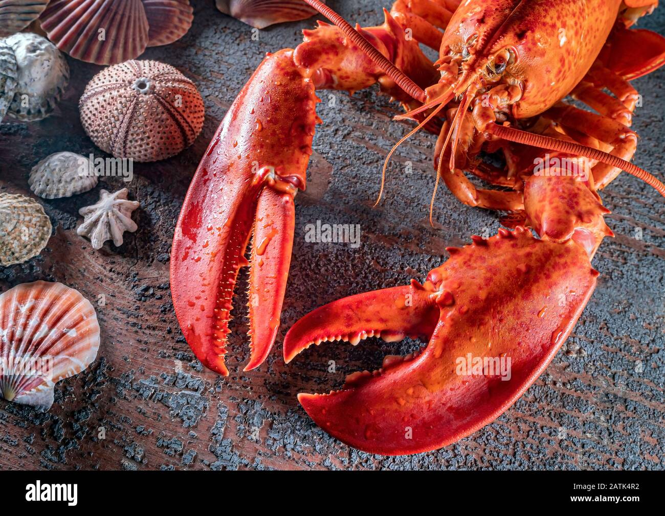 Steamed lobster seafood on wood background Stock Photo