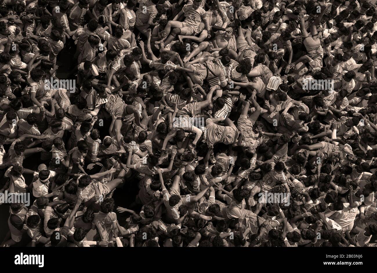 The image of  Govindas fall down while making a human pyramid to reach and break a dahi handi (curd-pot), on occasion of the Janmashtami Festivali at Stock Photo