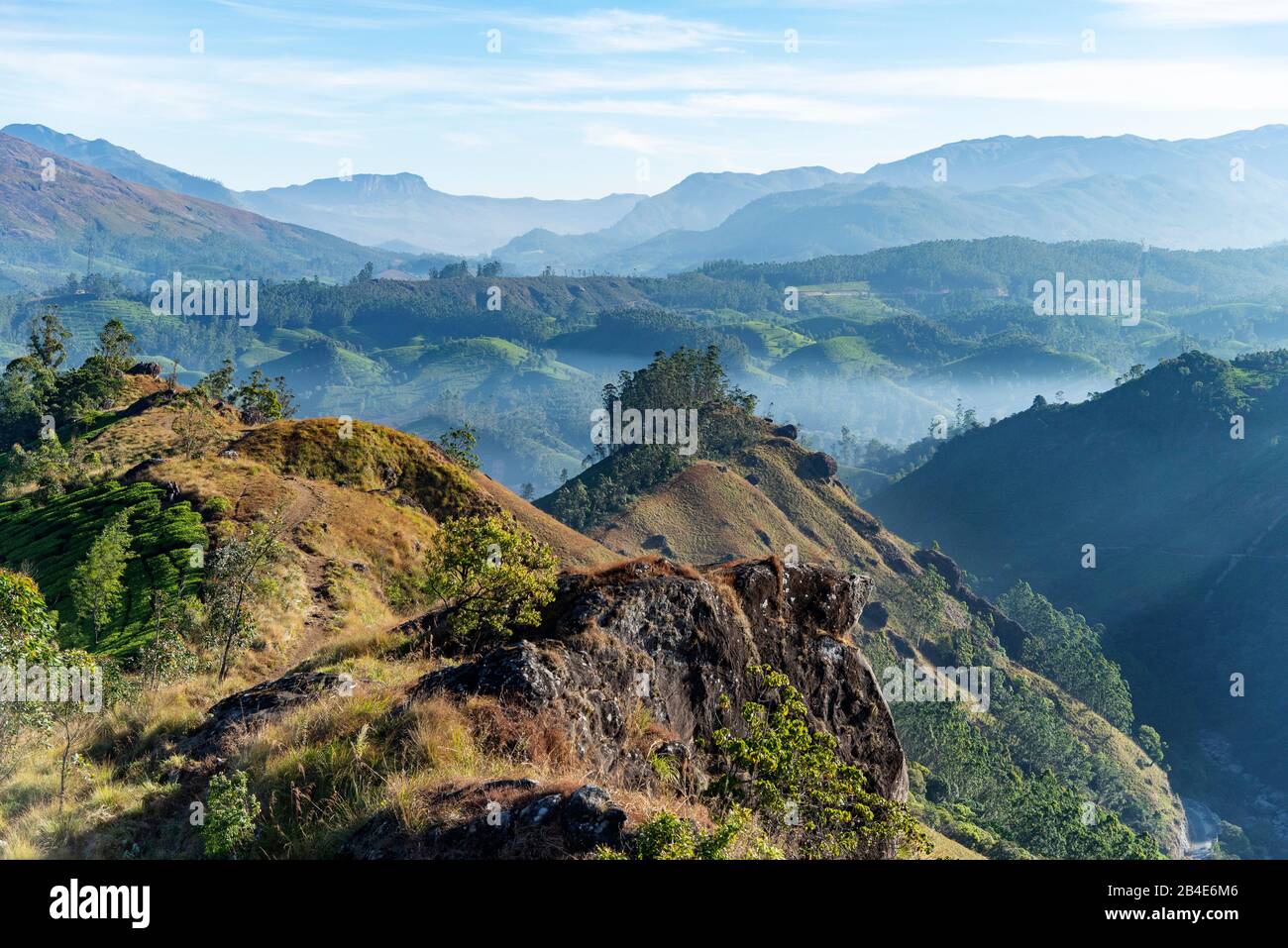 India, Kerala, Munnar, Anamudi Peak, landscape, mountain range, hiking Stock Photo